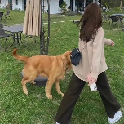史酷比和尼斯小怪