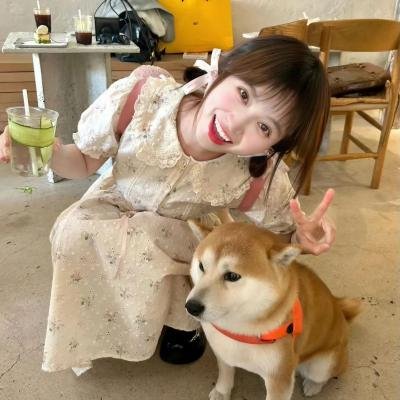 美女与猎犬